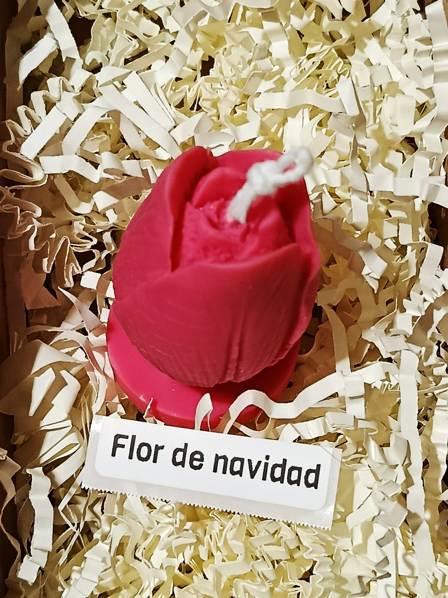Nochebuena en Flor
