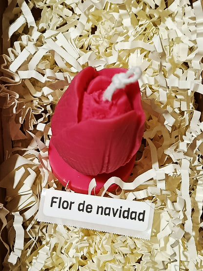Nochebuena en Flor