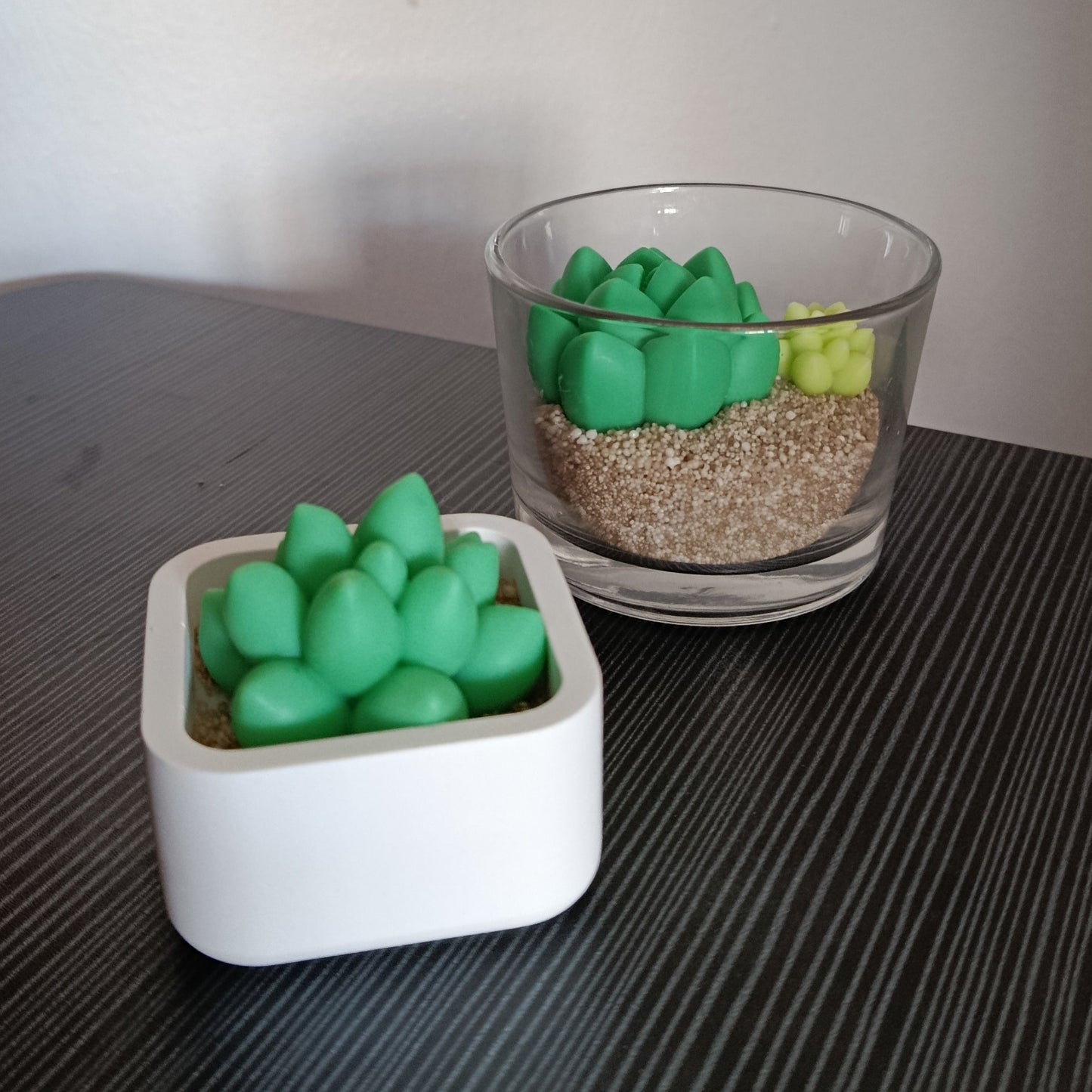 Maceta de suculentas