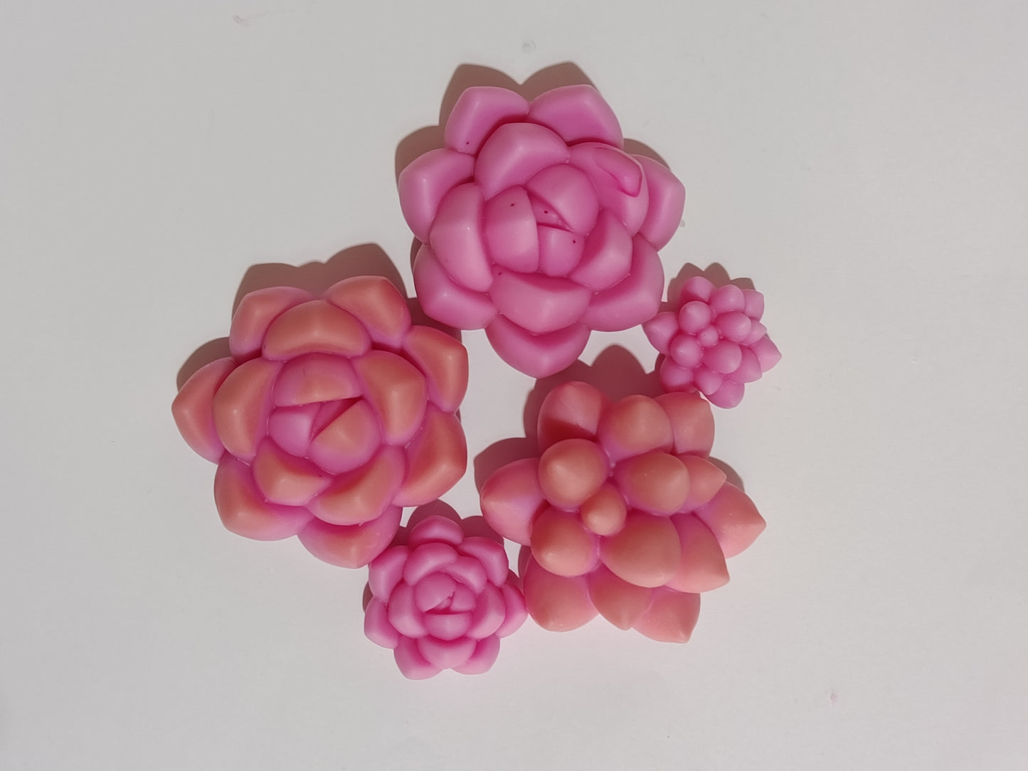 Maceta de suculentas